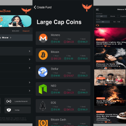 rivalfund